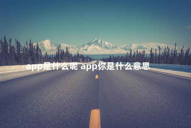 app是什么呢 app你是什么意思